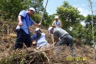 2007 5.27 凤凰山公益植树活动