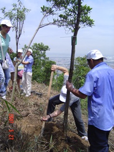 2007 5.27 凤凰山公益植树活动